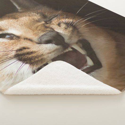 Goofy Lynx Sherpa Deken (3/4)