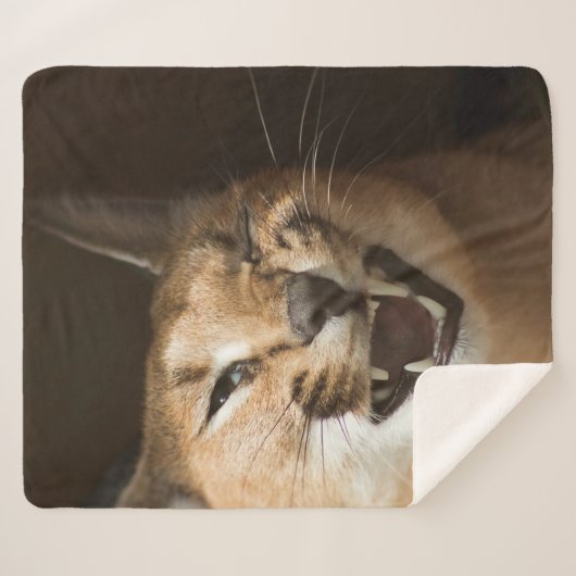 Goofy Lynx Sherpa Deken (Voorkant (horizontaal))