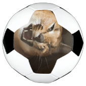 Goofy Lynx Voetbal (Gedraaid)