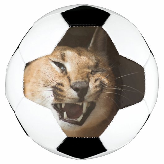 Goofy Lynx Voetbal (Voorkant)