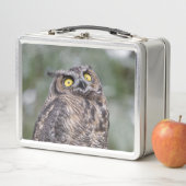 Goofy Owl Metal Lunchbox (En situation)
