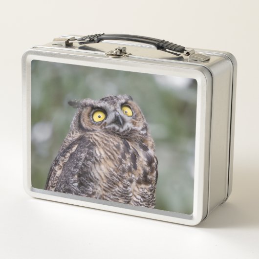 Goofy Owl Metal Lunchbox (Devant)