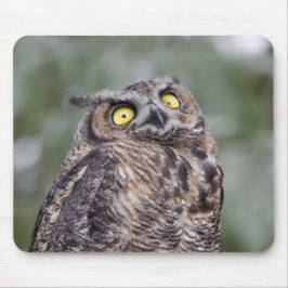Goofy Owl Mousepad Muismat