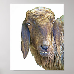 Goofy Sheep Face Boerderij Animal Art Poster