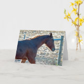 Goorpaard, geboortedag kaart (Gele Bloem)