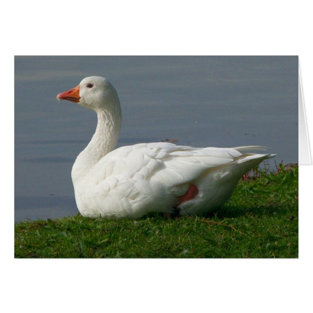 Goose (Voorkant Horizontaal)