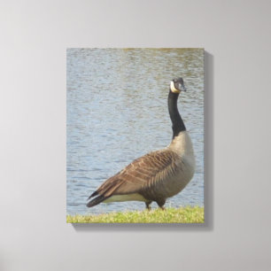 Goose by Pond Canvas Art Afdruk