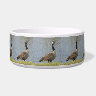 Goose by Pond Dog Bowl Voerbakje