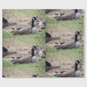 Goose Cadeaupapier (Vlak)