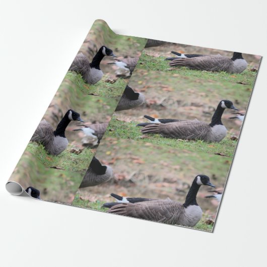 Goose Cadeaupapier (Uitgerold)