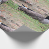 Goose Cadeaupapier (Hoek)