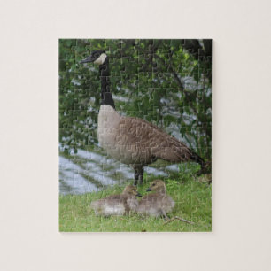 Goose en Goslings Legpuzzel