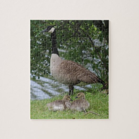 Goose en Goslings Legpuzzel (Verticaal)