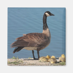 Goose Family Magnet 2 Magneet