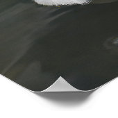 Goose Feathers Floating Poster (Hoek)