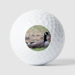 Goose Golfballen