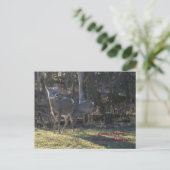 Goose Island, LaCrosse, Wisconsin Briefkaart (Staand voorkant)