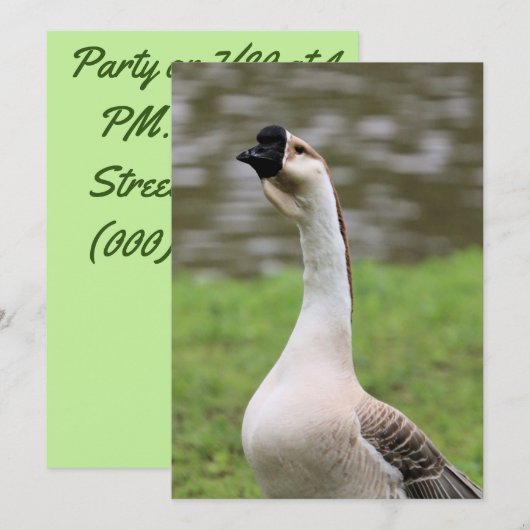 Goose Kaart (Voorkant / Achterkant)
