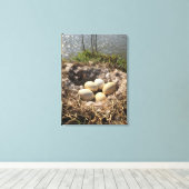 Goose Nest with Eggs op Canvas Afdruk (Insitu (Houten vloer))