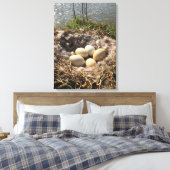 Goose Nest with Eggs op Canvas Afdruk (Insitu (Slaapkamer))
