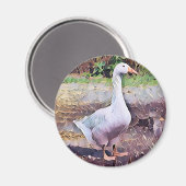GOOSE ONDERZETTER MAGNEET (Voorkant / Achterkant)