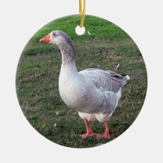 Goose ornament (Voorkant)
