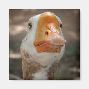 Goose Portret Magneet