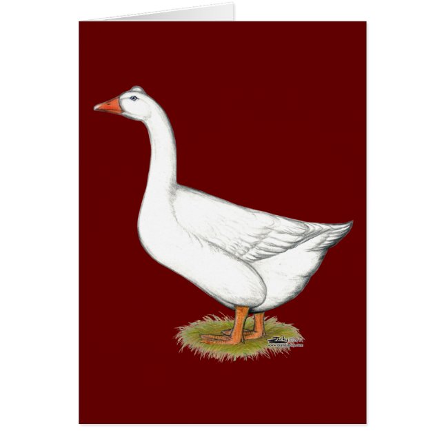 Goose Roman Tufted (Devant)