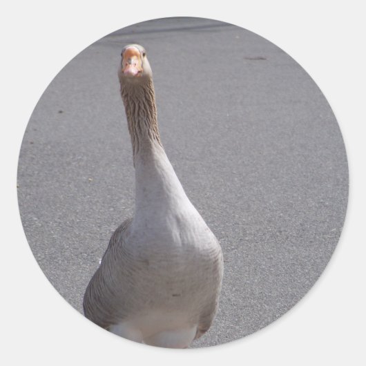 Goose! Ronde Sticker (Voorkant)