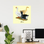 Goose Trio Poster (Thuiskantoor)