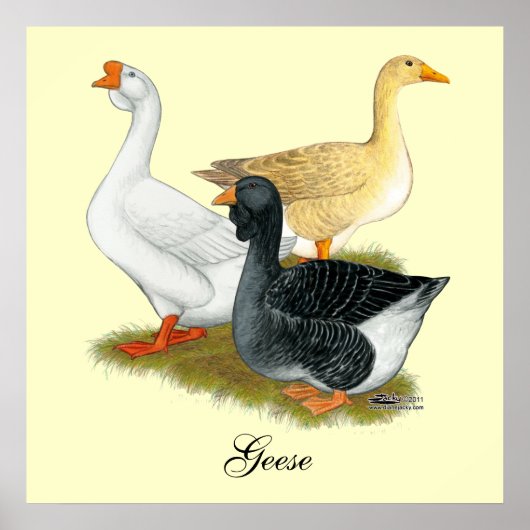 Goose Trio Poster (Voorkant)