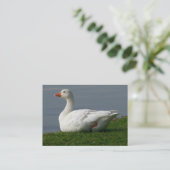 Goose Visitekaartje (Staand voorkant)