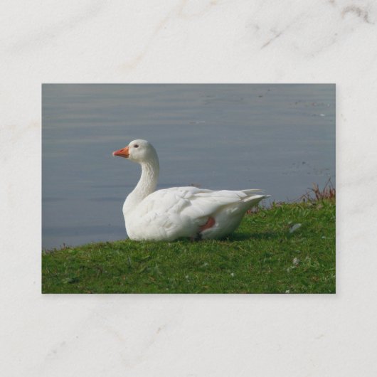 Goose Visitekaartje (Voorkant)