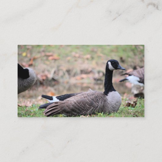 Goose Visitekaartje (Achterkant)