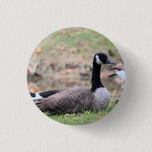 Goose vrachtwagenhoed ronde button 3,2 cm