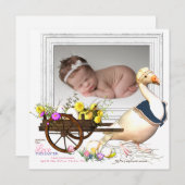 Goose with Eggs Foto Birth Announance Kaart (Voorkant / Achterkant)