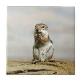 Gopher_005 Tegeltje (Voorkant)