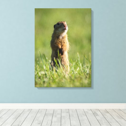 Gopher Canvas Afdruk (Insitu (Houten vloer))