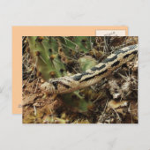 Gopher Snake Blank Briefkaart (Voorkant / Achterkant)