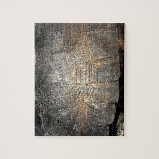 Gopher Tortoise Shell Legpuzzel (Verticaal)