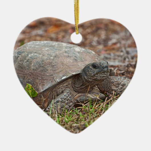 Gopher Tortoise Turtle Keramisch Ornament (Voorkant)