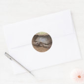 Gopher Turtle Ronde Sticker (Envelop)