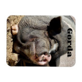 Gorda Magnet (Horizontal)