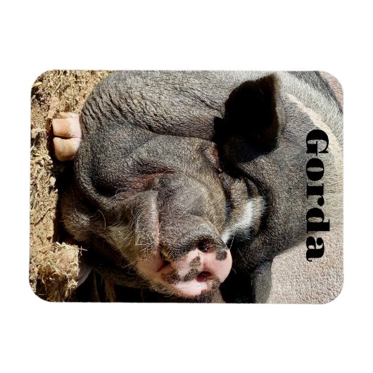 Gorda Magnet (Horizontal)