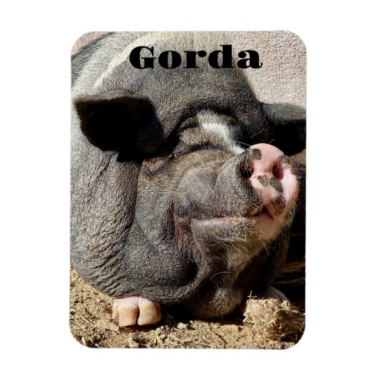 Gorda Magnet Magneet (Verticaal)