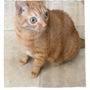 Gordijn voor douche met kat met grote ogen