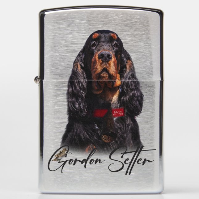 Gordon Setter (Voorkant)
