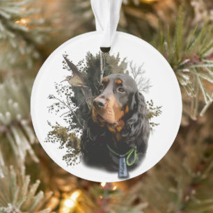 Gordon Setter