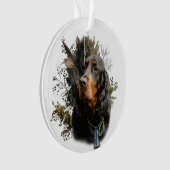 Gordon Setter (devant)