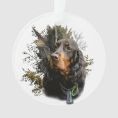 Gordon Setter (devant)